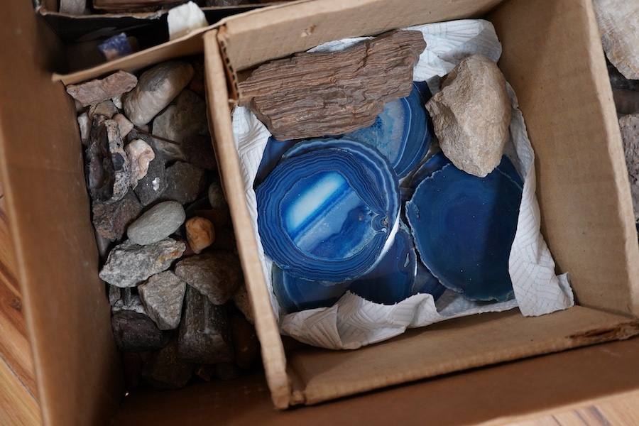 A collection of geological mineral specimens and fossils, including large quartz specimens, prepared cross-sections, fossilised tree sample, crystal formations, etc.